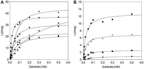 Fig. 4. Steady-state kinetics of the lipases.Note: Steady-state kinetics of the P. solitum 194A (panel (A)) and C. cladosporioides 194B (panel (B)) lipases as a function of various concentrations of p-nitrophenyl esters as substrates. Enzyme activity was assayed at pH 9.5, 37 °C (see “Materials and methods”). ● pNPO; ▼ pNPD; ■ pNPDD; ♦ pNPM ▲ pNPP; Display full size pNPS.