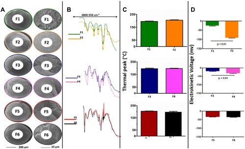 Figure 1 SEM images of microcapsule F1–F6 (A), FTIR-chromatograms (B), thermal peaks (C), and electrokinetic voltage (D). Data are mean ± SEM, n=3. F2, F4 and F6 are formulation matrices with UDCA, probucol and addition of NM30D, RL30D or RS30D polymers, respectively. F1, F3 and F5 are corresponding controls without UDCA.