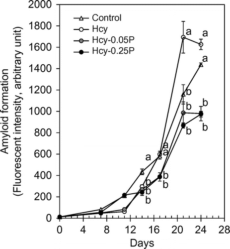 Fig. 5. In vitro amyloid formation assay.Notes: Lysozyme (5 mg/mL) aggregation was evaluated using Thioflavin T. Hcy (100 μM) and propolis were added to the lysozyme solution. Results are expressed as mean ± SE (n = 3). Different characters indicate statistical significant differences (p < 0.05). Hcy-P, Hcy and propolis.