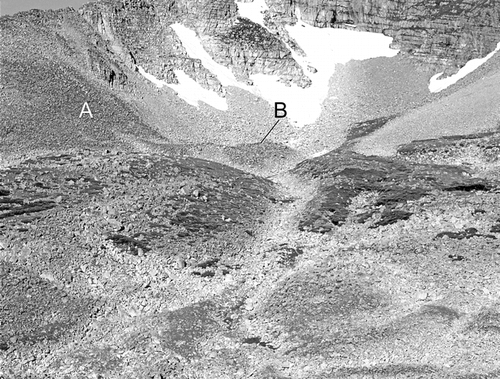Figure 4 Floor of the hanging valley on the southeast flank of Mount Audubon. Thalli of Rhizocarpon superficiale were measured on stable talus (A). Thalli of Lecanora novomexicana were measured in a depression behind the front of a lobate rock glacier (B). Areas of dark-colored debris are blown free of snow in winter and have mature lichen covers. Areas of light-colored debris experienced lichen snow-kill during the Late Holocene (CitationBenedict, 1999). Photo: 27 August 1990.