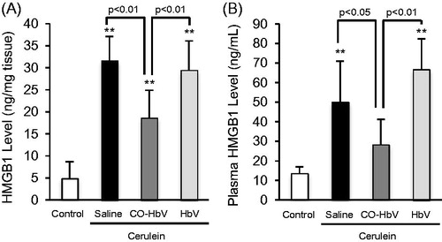 Figure 7. Pancreatic and plasma HMGB1 levels in acute pancreatitis model mice. HMGB1 level in (A) the pancreas and (B) plasma were determined using pancreas and plasma collected at 12 h after the start of cerulein administration. Data are mean ± S.D. (n = 6 per group). **p < .01 versus control.