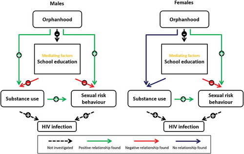 Figure 1. Conceptual model and observed relationships between orphanhood, substance use, education, and HIV risk behaviour.