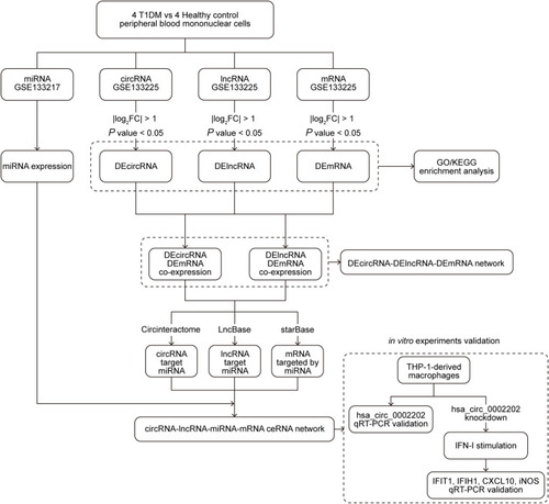 Figure 1 The analysis flow chart of this study.