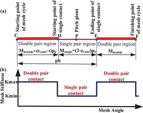 Figure 2. Mesh stiffness regions of meshing gear pair in one period.
