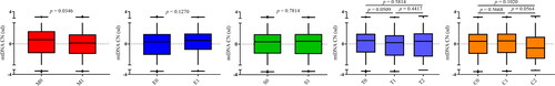 Figure 4. Relationships between mtDNA-CN and renal pathological changes in IgAN patients. Data were analyzed by Student’s t-test. SD (with a mean of 0) as the unit of standardized determination for mtDNA-CN. N = 615. Forty-nine individuals were excluded due to incomplete pathological Oxford classification information. Renal pathological changes were scored by professional pathologists referring to Oxford MEST-C Classification. Patients were scored M0 or M1 in terms of mesangial hypercellularity: when >50% of glomeruli showing four or more cells in one or more mesangial area, not including central core and region of the vascular pole were scored M1. E score or S score were defined as absent (0) or present (1) of endocapillary hypercellularity (E) or segmental glomerulosclerosis (S). T score was defined in terms of estimated percentage of interstitial fibrosis and tubular atrophy: T0 (≤25%), T1 (26–50%), and T2 (>50%). C score referred to crescents: C0 (0%), C1 (0% to <25%), and C2 (>25%).