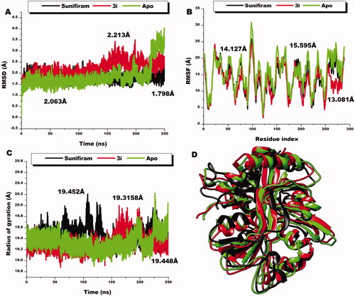 Figure 8. Comparative RMSD plots of C-a atoms of Sunifiram (black), 3i (red), and the unbound Apo (green). B) Comparative RMSF plots of individual residues of Sunifiram (black), 3i (red), and the unbound Apo (green) conformations over the simulation period. C) Comparative RoG plots of C-a atoms of Sunifiram (black), 3i (red), and the unbound Apo (green). D) 3D structural superposition of Sunifiram (black), 3i (red), and the unbound Apo (green) to show structural flexibility.