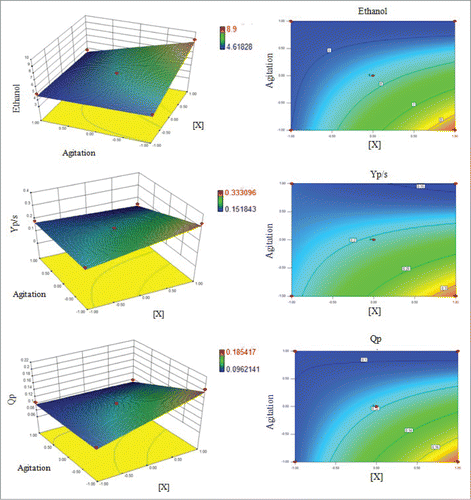 Figure 3. Response surface plots and corresponding contour lines showing the relationship between responsive variables (ethanol production, ethanol yield and ethanol productivity) and process variables (immobilized cell concentration and stirring).