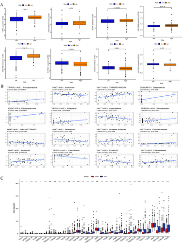 Figure 10 Clinical application of the risk signature. (A) IC50 of anti-tumor drugs among different subgroups. (B) Drug susceptibility correlation analysis. (C) Immune checkpoint analysis, (P <0.05*, P <0.001***).
