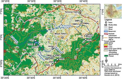 Figure 1. Land cover and location of the study sites in the Gatcheb catchment, southwest Ethiopia.