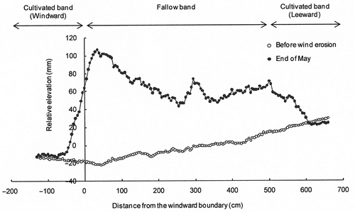 Figure 6. Change in surface elevation of the fallow band. The zero in the vertical axis is the average elevation value measured before wind erosion.