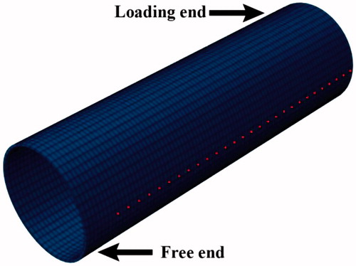 Figure 13. Steel nodes selected by nodes selection program.