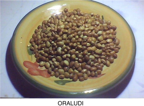 Fig. 1 Sample of oraludi (Vigna biflorus) seeds.