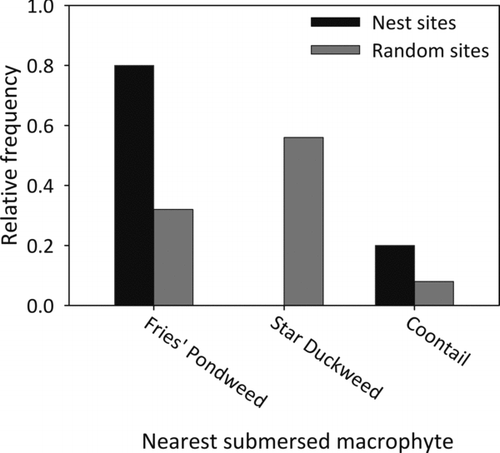 Figure 5. Relative frequency of nearest submersed macrophyte species from nest sites and random sites within West Long Lake, Nebraska, USA in June 2011.