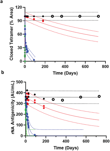 Figure 6. The rNA vaccine in KP-10% sucrose is predicted and verified to be stable for at least 24 months at 2–8°C. AKTS prediction software used 6 months accelerated stability data for (a) % Closed tetramer by SEC and (b) Antigenicity by ELISA to predict rNA stability for at least 24 months at 2–8°C. Stability data points up to 6 months were used for prediction, marked as filled circles from 5°C (black), 25°C (red), 37°C (blue), and 45°C (green). Solid line is the prediction mean; broken lines are the upper and lower 95% prediction intervals (PI). Real time data at 5°C on day 270 (9 M), 365 (12 M), 540 (18 M), and 730 (24 M) are bold open circles, showing no significant upward or downward trend, aligning with the prediction mean, and well within the PI for both assays.