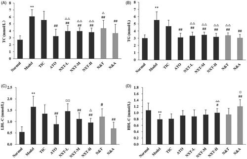 Figure 2. Effect of treatments on cholesterol (T-CHO) (A), triglyceride (TG) (B), low density lipoprotein (LDL-C) (C) and high-density lipoprotein (HDL-C) (D). Data are presented as means ± SD (n = 10). **p < 0.01 compared with normal group, #p < 0.05 and ##p < 0.01 compared with model group, △p < 0.05 and △△p < 0.01 compared with TIC group, □p < 0.05 and □□p < 0.01 compared with ATO group.