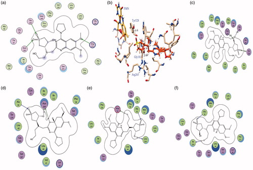 Figure 7. (a) The binding model of compound 4 into the binding site of PfLDH (PDB ID 1LDG): (b–c) The binding model of compound 4 into the binding site of pfDHODH (PDB ID 3O8A): Schematic 2D view of the interactions compound 4 into the binding site of PfDHFR-TS: (d) double mutant (PDB ID 1J3J); (e) quadruple mutant (PDB ID 1J3K) and (f) Wild type inhibitor (PDB ID 1J3I).