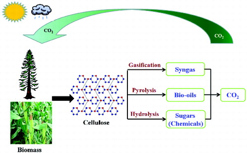 Figure 1. Integrated biomass-energy-chemicals for sustainable technologies.