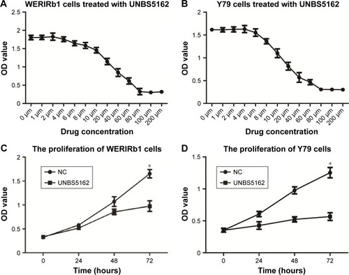 Figure 1 UNBS5162 inhibited cell proliferation of human retinoblastoma cell lines.