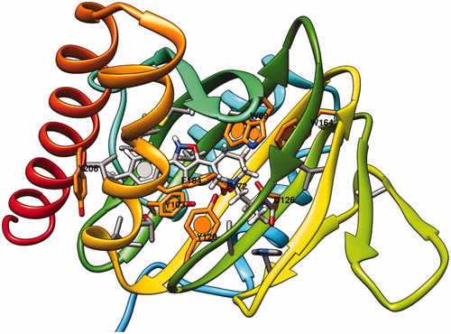 Figure 6. X-ray crystallographic data of the human sigma-1 receptor and of the ligand PD144418. The most important residues are labeled and colored in orange.