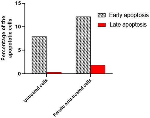 Figure 7. A bar chart showing the percentages of the early and late apoptotic cells in the untreated and treated cells.