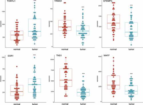 Figure 4. Expression levels of selected genes in GSE15852 dataset. TOM1L1 and ESR1 were highly expressed, but MAFF, TNS1, EFEMP2, and TRIM31 were significantly downregulated in breast cancer