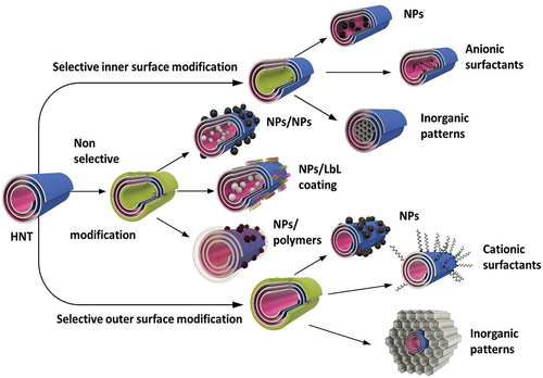 Scheme 6. Different architectures of halloysite nanotube-based core–shell systems.