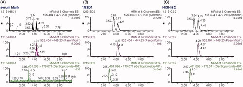 Figure 3. MRM chromatograms of paeoniflorin, albiflorin and gentiopicroside (IS). (A) blank serum; (B) blank serum spiked with paeoniflorin, albiflorin and IS (30, 15 and 1 μg/mL respectively; (C) rat serum collected at 10 min after administration of 2.82 g/kg TGP.