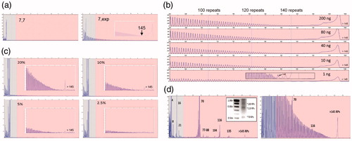 Figure 2 Performance characteristics of the C9orf72 PCR/CE assay. (a) Accurate sizing of up to 145 repeats with a distinct RP-PCR profile for expanded samples is achieved using the 3-primer PCR design. The RP profile enables zygosity resolution, i.e. distinguishing a homozygous sample with two alleles with seven repeats (ND09188; left) and an expanded heterozygous sample (ND12102; right) with one allele with seven repeats and a hyper-expanded allele. (b) The 3-primer PCR demonstrates robust performance and detection of expanded alleles across a 200-fold gDNA range down to 1 ng/reaction (ND12754). Long-range RP peak counting is denoted at the 100, 120, and 140 repeat peaks. (c) The presence of expanded allele RP profiles are visible down to a 5% mass fraction (admixture of expanded ND10966 in the background of unexpanded ND09188). (d) Low-level minor alleles are readily detected in the 2-primer assay configuration on both CE and AGE (ND10689; left, inset) as compared to the 3-primer assay (right). Numbers represent allele sizes (repeats—RPs).