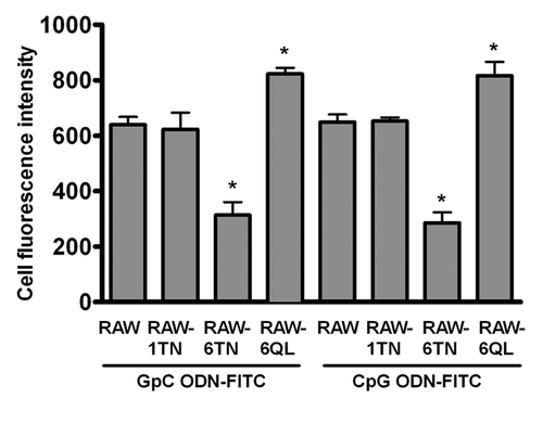 Figure 1. ARF6 regulates cellular ODN uptake. RAW264.7, RAW-ARF1T31N, RAW-ARF6T27N or RAW-ARF6Q71L cells were incubated with 0.5 μM GpC ODN-FITC or CpG ODN-FITC for 30 min. Cell fluorescence intensity of GpC ODN-FITC or CpG ODN-FITC uptake was measured by flow cytometry. *p < 0.01 for RAW-ARF6T27N or RAW-ARF6Q71Lvs. RAW264.7.