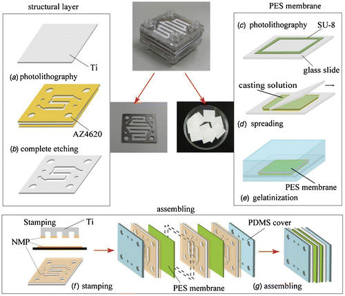 Figure 12. The production process of the multilayered microfilter device [Citation67].