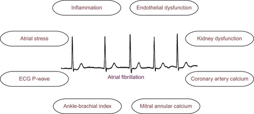 Figure 1 Biomarkers implicated in the prediction of incident atrial fibrillation.