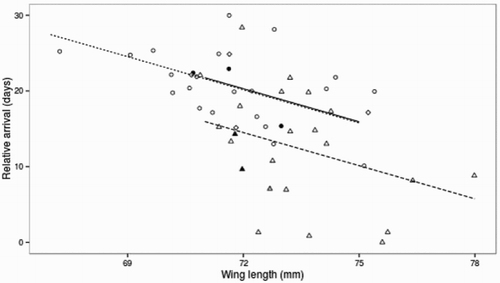 Figure 1. Wing length predicts relative spring arrival date (days after the earliest arrival) for un-aged (diamonds; solid line), second year (circles; dotted line) and adult (triangles; dashed line) Common Whitethroats. See Table 3 for model details. Birds infected with malaria have black-filled shapes (n = 5); one bird with unknown infection status has a grey-filled shape. Points are jittered to avoid overlapping.