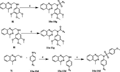 Scheme 2. Synthesis of compounds 10a–10g, 11a–11g, and 14a–14d. Reagents and conditions: (c) sulphonyl chlorides or acyl chlorides, TEA, DCM, rt, 5 h. (d) DMF, K2CO3, rt, 8 h.