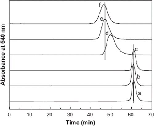 Figure 3. Size exclusion chromatography analysis of the PEGylated proteins. HbA (a), [Propyl-Val-1(α)]2-Hb (b), αα-fumaryl Hb (c), the hexaPEGylated Hb (d), the hexaPEGylated [Propyl-Val-1(α)]2-Hb (e), and the hexaPEGylated αα-fumaryl Hb (f) were loaded on two HR10/30 Superose 12 columns (1 × 31 cm2) and eluted with PBS, pH 7.4 at a flow rate of 0.5 ml/min.