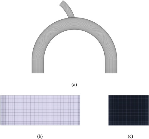 Figure 3. Horizontal and cross-sectional views of the mesh used in the simulations. (a) Horizontal sectional grids in the bend with single short branch; (b) Inlet and outlet sectional grids in main channel; (c) Branch outlet sectional grids.