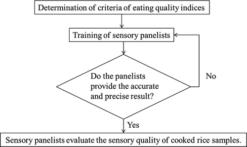 FIGURE 1 Flow diagram of sensory method for cooked rice.