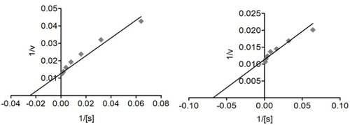 Figure 8 Lineweaver–Burk plots of butyrylcholinesterase inhibition representing the reciprocal of initial enzyme velocity versus the reciprocal of substrate concentration in the presence of Compound 2 and the standard galantamine.