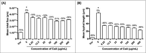 Figure 1. Inhibition of A. fumigatus (A) growth and (B) hyphal length by Cyclosporin A (CsA) in vitro (6.25 – 400 µg/mL). Voriconazole (Vor) (0.35 µg/mL) was used as a positive control. The percentages of inhibition compared with the negative control (without CsA) are presented in the graph above the columns. # - The inhibition of CsA and voriconazole were significantly different from that of the negative control across all concentrations tested (p < 0.05). No significant differences were found between different concentrations of CsA. It should be noted that even the highest concentration of CsA tested did not result in a complete inhibition of growth in either (A) or (B), suggesting that the antifungal activity of CsA is limited