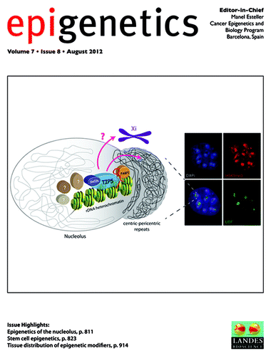 Figure 1. Cover of Epigenetics Volume 7, Issue 8 (August 2012).