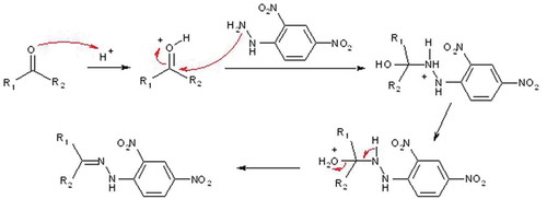 Figure 2. Chemical reaction between F and DNPH, that leads to the finally assayed stable F-DNPH conjugate of a strong UV absorption at 360 nm