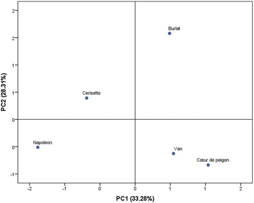 Figure 2. Scatter plot for the first two principal components (65.04% of total variance) for the studied cherry varieties based on all variables