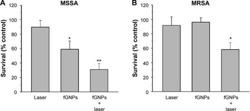 Figure 4 Antibacterial effect of targeted gold nanoparticles and pulsed laser irradiation at 532 nm against (A) MSSA and (B) MRSA.Notes: Bacterial samples were incubated with 40 nm gold nanospheres coated with anti-S. aureus antibodies then exposed to 100 laser pulses at 5 J/cm2. Bacterial survival was determined by colony forming unit assays. The vehicle control group, which did not receive gold nanoparticles or laser treatment, was set to 100% survival. Values are expressed as mean + standard deviation of three independent experiments. Statistical significance was determined using repeated measures ANOVA tests and post hoc Tukey tests. (A) *P=0.04 compared to the controls and **P≤0.005 compared to the controls and laser alone group. (B) *P≤0.01 compared to the controls and the other two treatment groups.Abbreviations: ANOVA, analysis of variance; MSSA, methicillin-sensitive Staphylococcus aureus; MRSA, methicillin-resistant Staphylococcus aureus; fGNPs, functionalized gold nanoparticles.