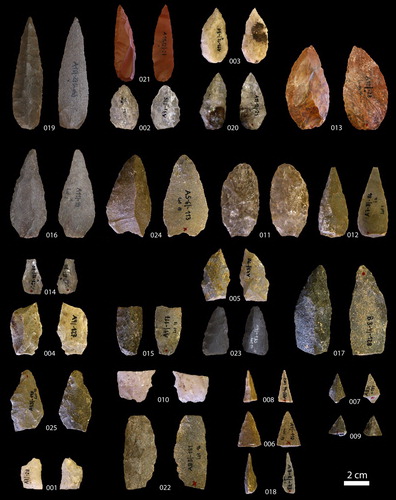 Figure 3. The points, preforms and point fragments from Apollo 11 Rock Shelter included in the present analysis. The pieces are arranged according to completeness or fragmentation as represented in Table 4.