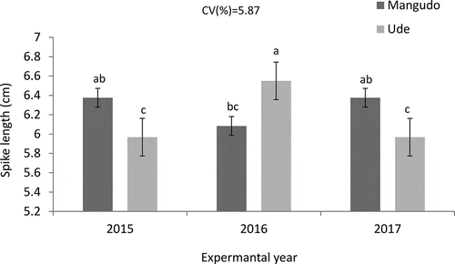 Figure 5. Interaction effects of year and variety on durum wheat spike length at Memerhager, Ethiopia. Abbreviations: CT, conservation tillage (5 times pass), RTRRt: reduced tillage residue retained, RTRRm: reduced tillage residue removed, OP+RS, one plow +round up spray in 2015, 2016 and 2017 cropping season