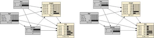 Fig. 15 Example 5 built in Netica and intervention on Smoke, Age, and Sex.