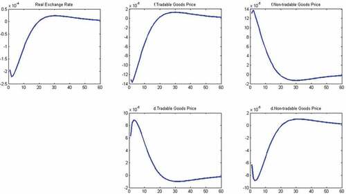 Figure 13. Impulse response: foreign repayment shock (cont.).Source: Matlab output