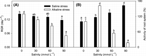 Figure 2 Effects of saline and alkaline stress on the (A) relative growth rate (RGR) and (B) activity of the root system in Lathyrus quinquenervius shoots. The 8-week-old L. quinquenervius seedlings were treated with saline stress (NaCl : Na2SO4 = 9:1; pH 6.44–6.65) and alkaline stress (NaHCO3 : Na2CO3 = 9:1; pH 8.71–8.89) for 10 days. In each column, the data markers identified with the same letters are not significantly different (P < 0.05) according to a least significant difference test. The error bars represent ± standard error (n = 4) of four replicates.