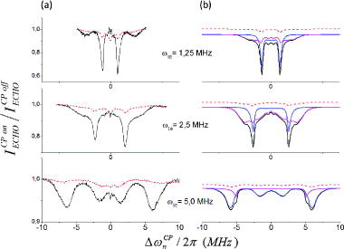 Figure 5. (a) Experimental eNCP spectra of 1H-BDPA for different ω1e values as indicated on the figure. Intensities reflect the percentage decrease in echo intensity for a normalised echo (y-scales are comparable). MW power was kept constant during the π/2 and spin-lock pulses. RF field strength: 18 kHz; tCP is 50 μs (solid black lines) and 5 μs (red dotted lines); τd = 1 μs; RT. EPR excitation was set to the centre of the EPR line. (b) Simulated eNCP spectra for tCP 50 μs (solid black lines) and 5 μs (red dotted lines). The former are split into individual contributions for powder of {e–n1–n2} spin system with hyperfine tensors having opposite signs: |A1| = [7.7 5.3 2.0] MHz and |A2| = [1.0 1.0 1.2] MHz (magenta traces) and {e–n} spin system with |A| = [50 50 100] kHz (blue traces). Relaxation parameters used in simulations: T1e = 0.1 ms; T2e = 1 μs; T2n, T1n and T1ρ were set to infinity. The relative scaling of the {e–n1–n2} and {e–n} spectra was done independently until resembled the experimental spectrum and was kept the same for all three calculated data-sets. A peak at Δωn = 0 that appeared with varying intensities in the simulations of the {e–n} system was removed.