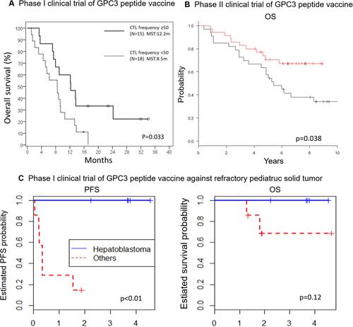 Figure 2 Overall survival (OS) or Progress free survival (PFS) of patients who had been experienced with vaccine in phase I/II clinical trials of GPC3 peptide vaccine. The details are shown in Figure 1. (A) Kaplan–Meier curves for OS of advanced HCC patients in a phase I clinical trial of GPC3 peptide vaccine.Citation77 Patients with GPC3-specific CTL frequencies ≥50 (bold line) had a longer survival than those with GPC3-specific CTL frequencies <50 (dotted line) (P = 0.033). (B) Kaplan–Meier curves for OS in a phase II clinical trial of adjuvant GPC3 peptide vaccine.Citation80 Among patients with GPC3-positive HCC, patients that underwent surgery and were vaccinated (red line) tended to have longer recurrence-free and overall survival rates than those who underwent surgery alone (black line). (C) Kaplan-Meier curves for PFS and OS in a phase I clinical trial of GPC3 peptide vaccine with pediatric solid tumors.Citation93 Hepatoblastoma patients in the partial remission group (blue line) showed longer PFS and OS than those with other pediatric solid tumors (red line).