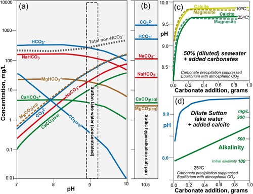Figure 11. Geochemical models (Geochemists Workbench®) of saline water compositions. A, Speciation of dissolved carbonate components in concentrated Sutton lake water, calculated at a range of pH. B, Speciation of dissolved carbonate components in leachate from a sodic salt pan leachate (Table 1; Craw et al. Citation2023b) plotted at same scale as a, for comparison. C, Rise in pH as a result of continued addition, to supersaturation, of dissolved calcite and magnesite to dilute seawater (models at 10°C and 25°C). D, Similar model to E, using dilute Sutton lake water at 25°C, starting with low alkalinity (100 mg/L).